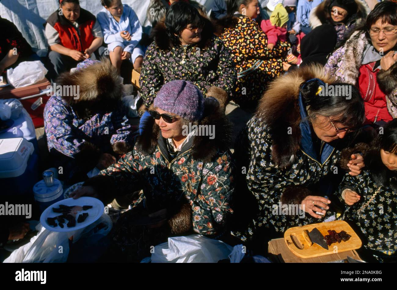 Inuit woman at a gathering; North Slope, Alaska, United States of America Stock Photo