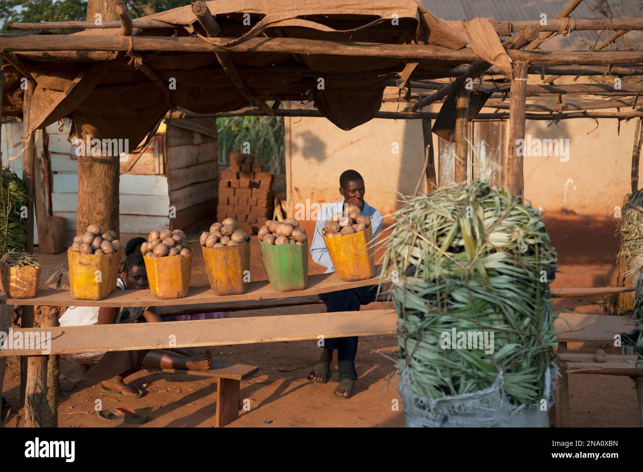 A produce stand in Kampala, Uganda; Kampala, Uganda, Africa Stock Photo Alamy