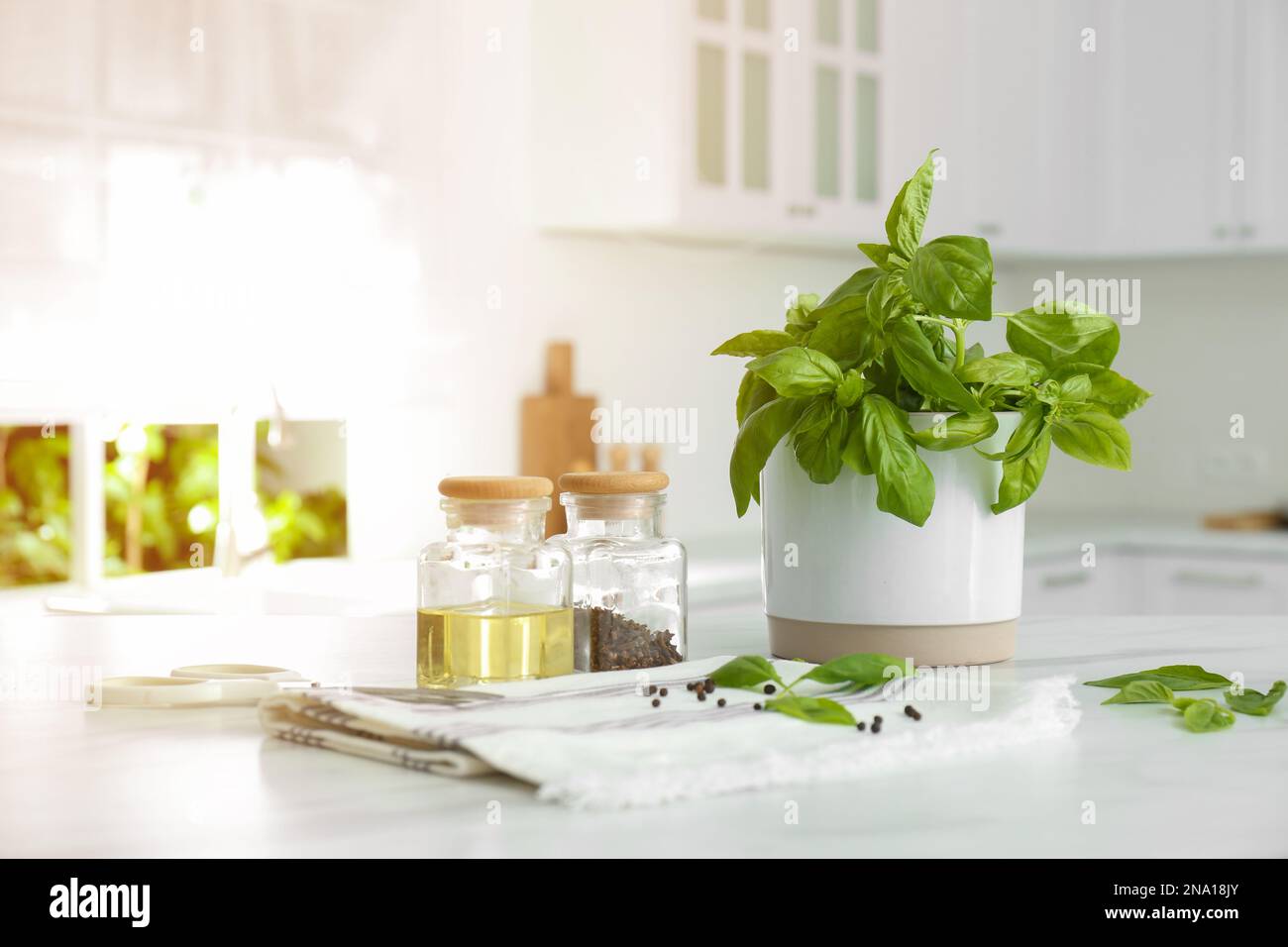 Fresh green basil in pot on white table in kitchen Stock Photo - Alamy