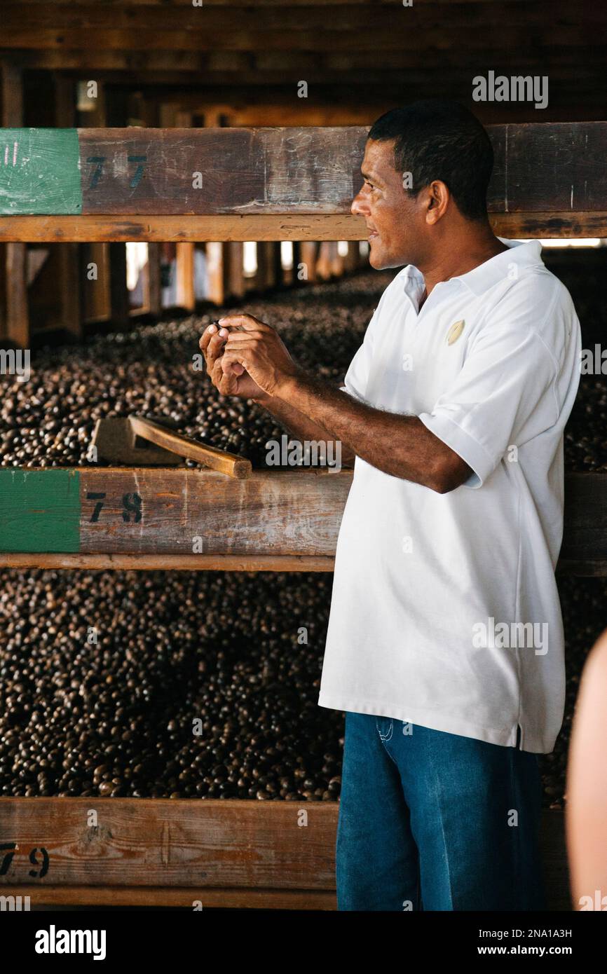Nutmeg processing plant hires stock photography and images Alamy