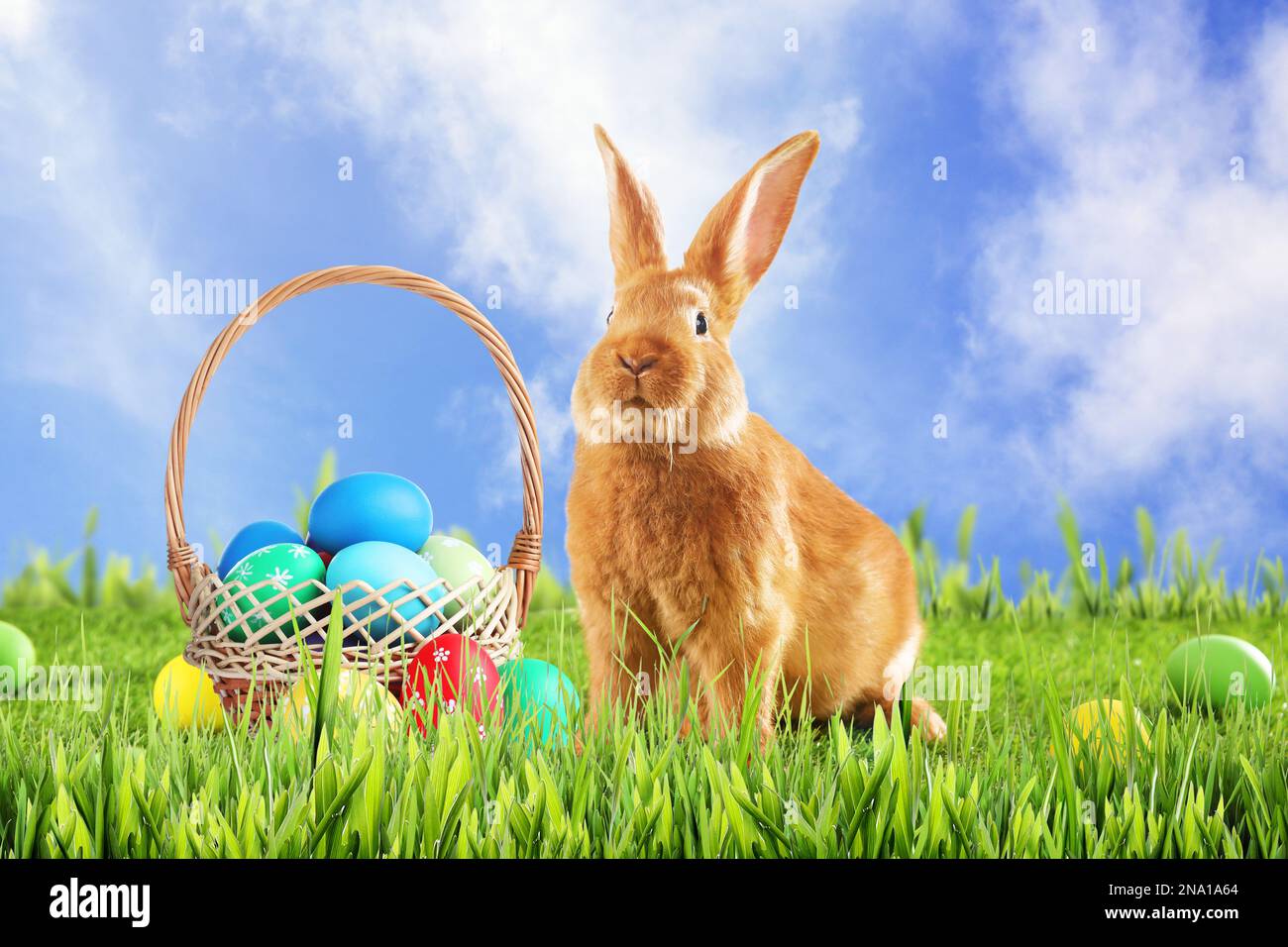 Cute bunny and wicker basket with colorful Easter eggs on green grass ...