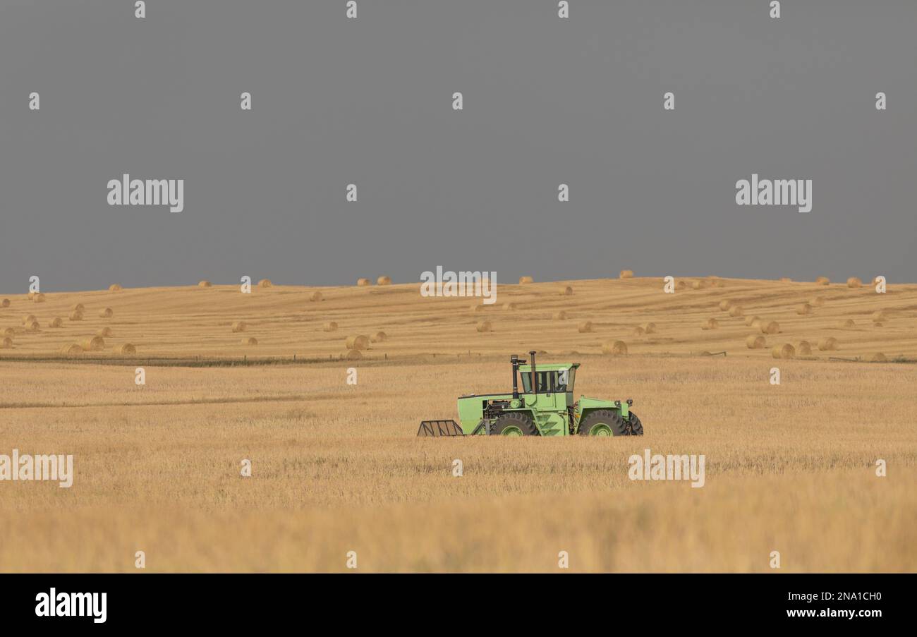 Tractor on farmland at harvest time; Alberta, Canada Stock Photo