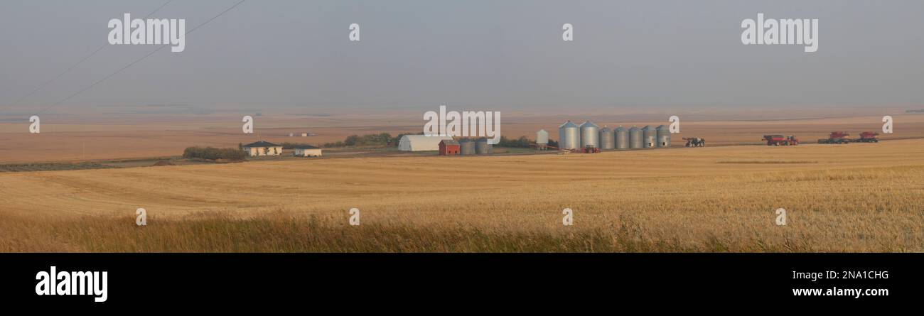 Farm structures on vast farmland in the Canadian prairies; Alberta, Canada Stock Photo