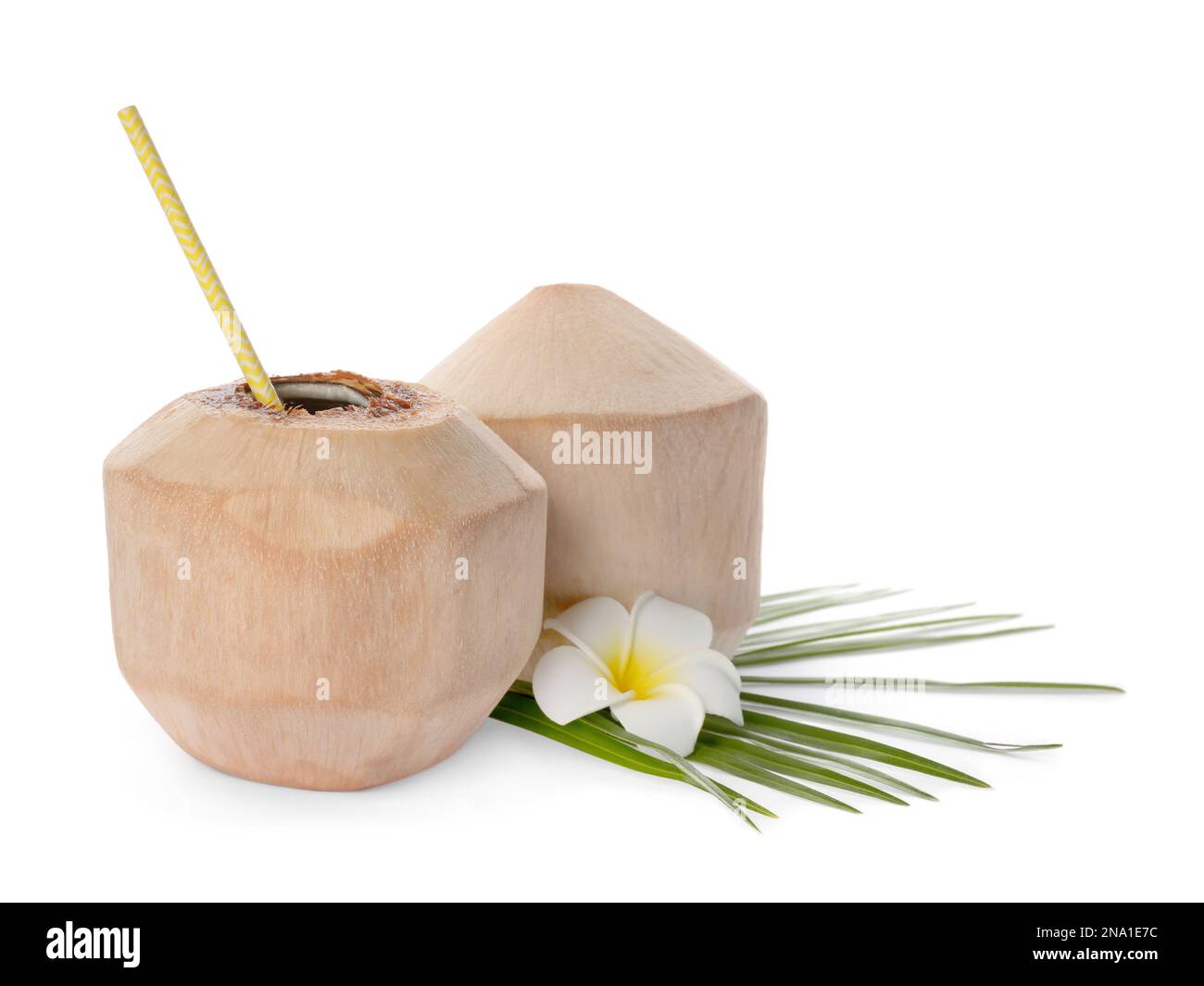 Young peeled coconuts with straw, palm leaf and beautiful flower on white background Stock Photo