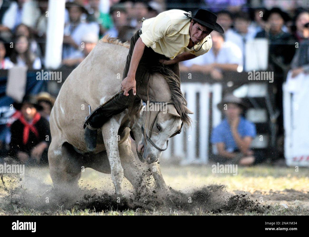 A gaucho or cowboy rides a horse during a rodeo competition in ...