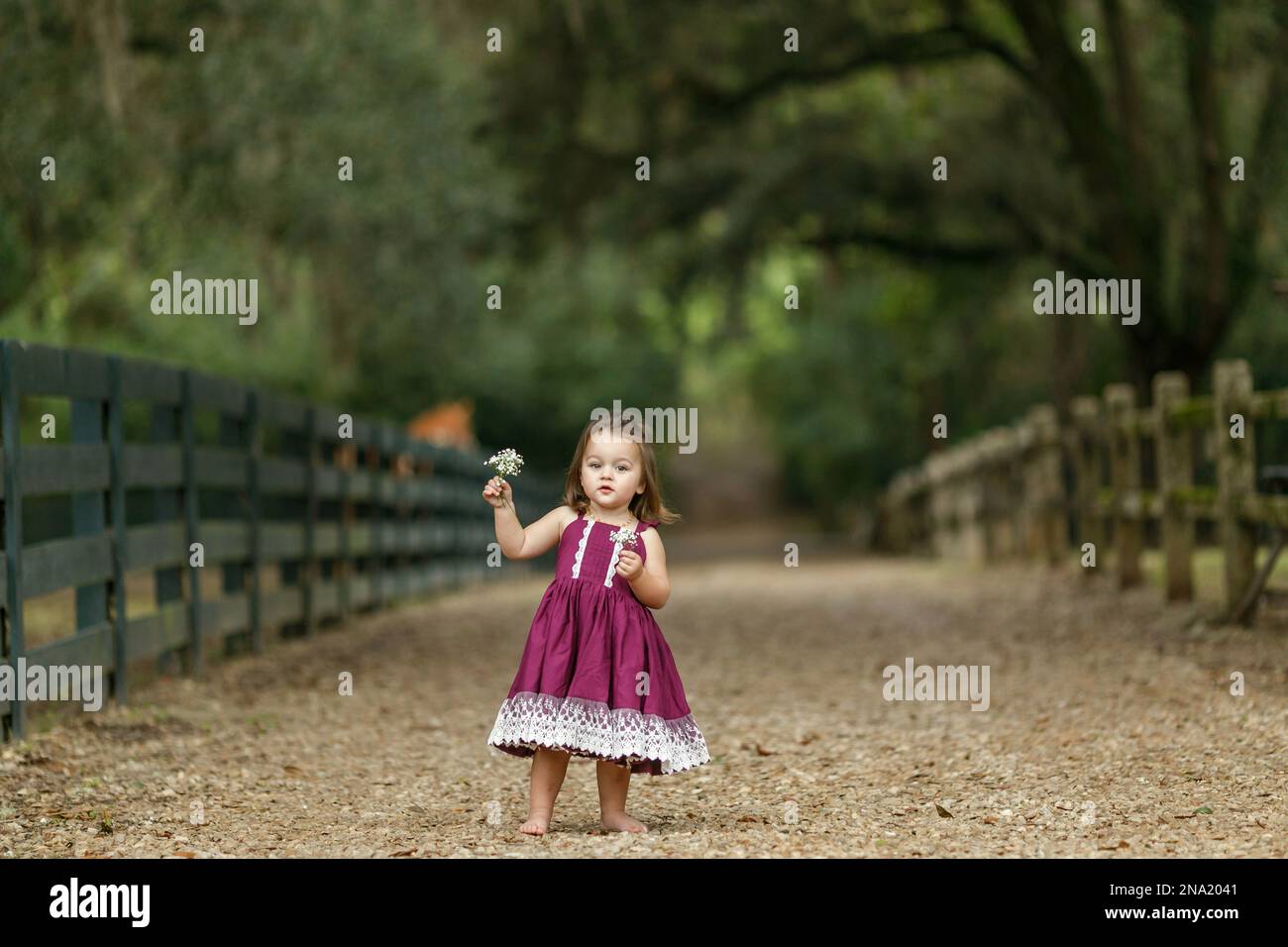 Beautiful two year old girl with a purple dress running and jumping with happiness Stock Photo