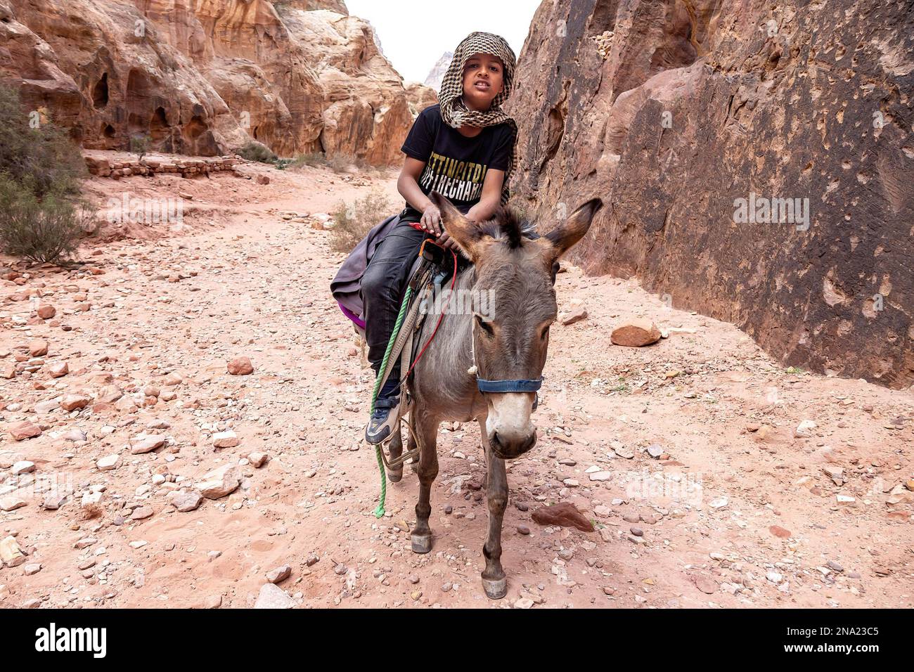A Bedouine boy rides a donkey in Petra, a famous archaeological site