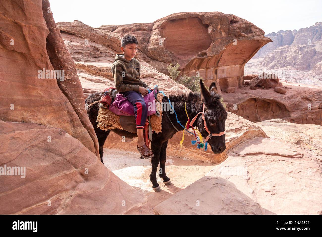 A Bedouine boy rides a donkey in Petra, a famous archaeological site