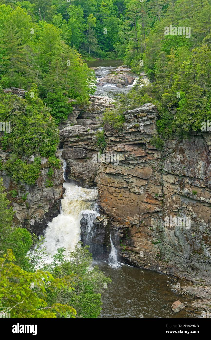 Dramatic Linville Falls in a Green Forest at Linville in North