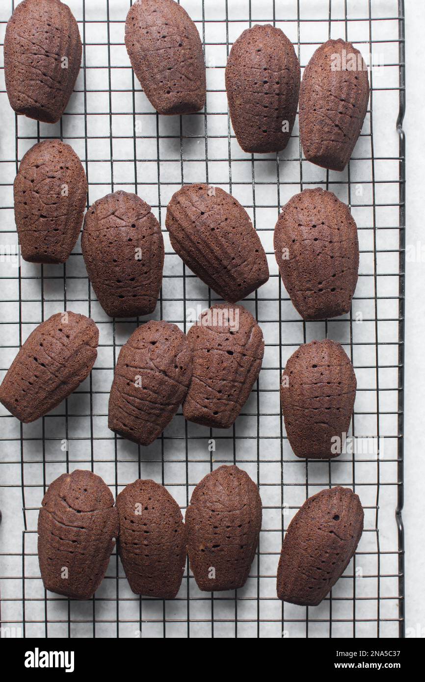 Baked chocolate madeleines in a silver madeleine baking tin Stock Photo