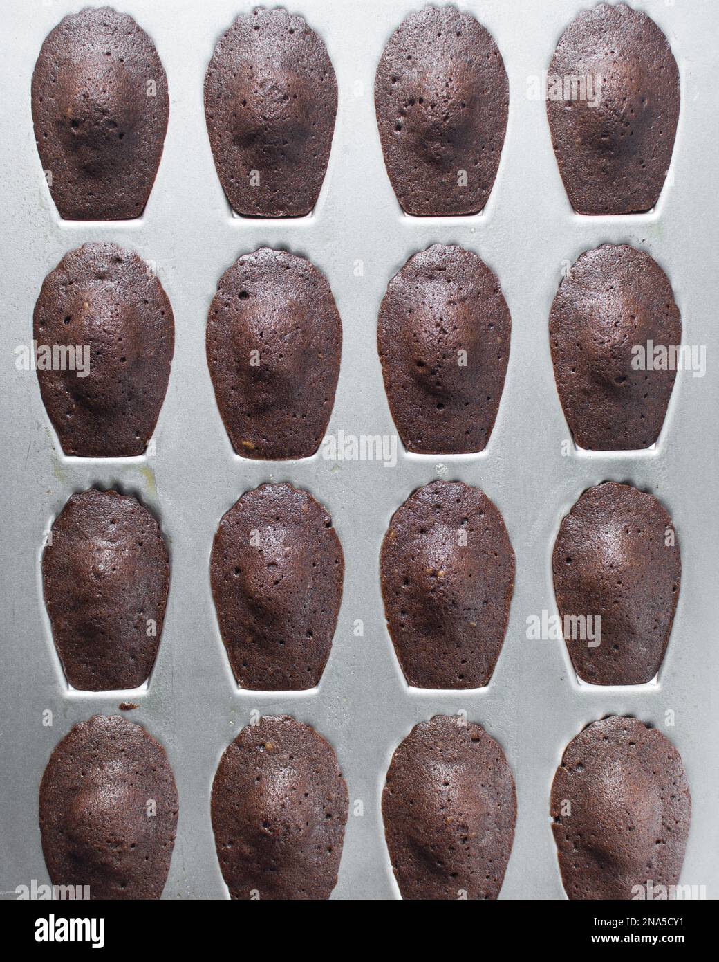 Baked chocolate madeleines in a silver madeleine baking tin Stock Photo Alamy