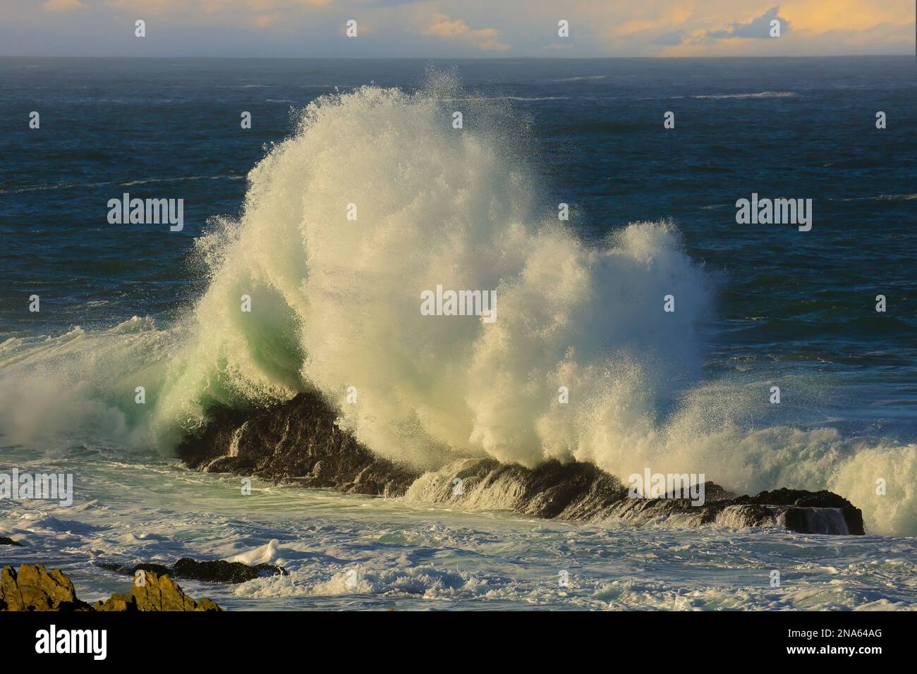 Seascape with large breaking wave on coastal rocks, South Africa Stock Photo