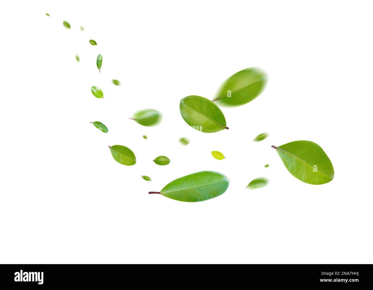 Green Floating Leaves Flying Leaves Green Leaf Dancing, Air Purifier