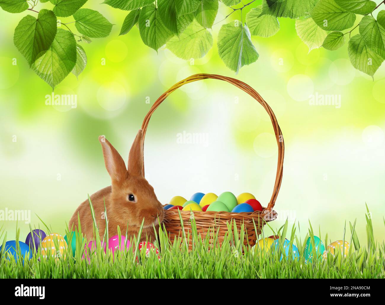 Cute bunny and wicker basket with colorful Easter eggs on green grass ...