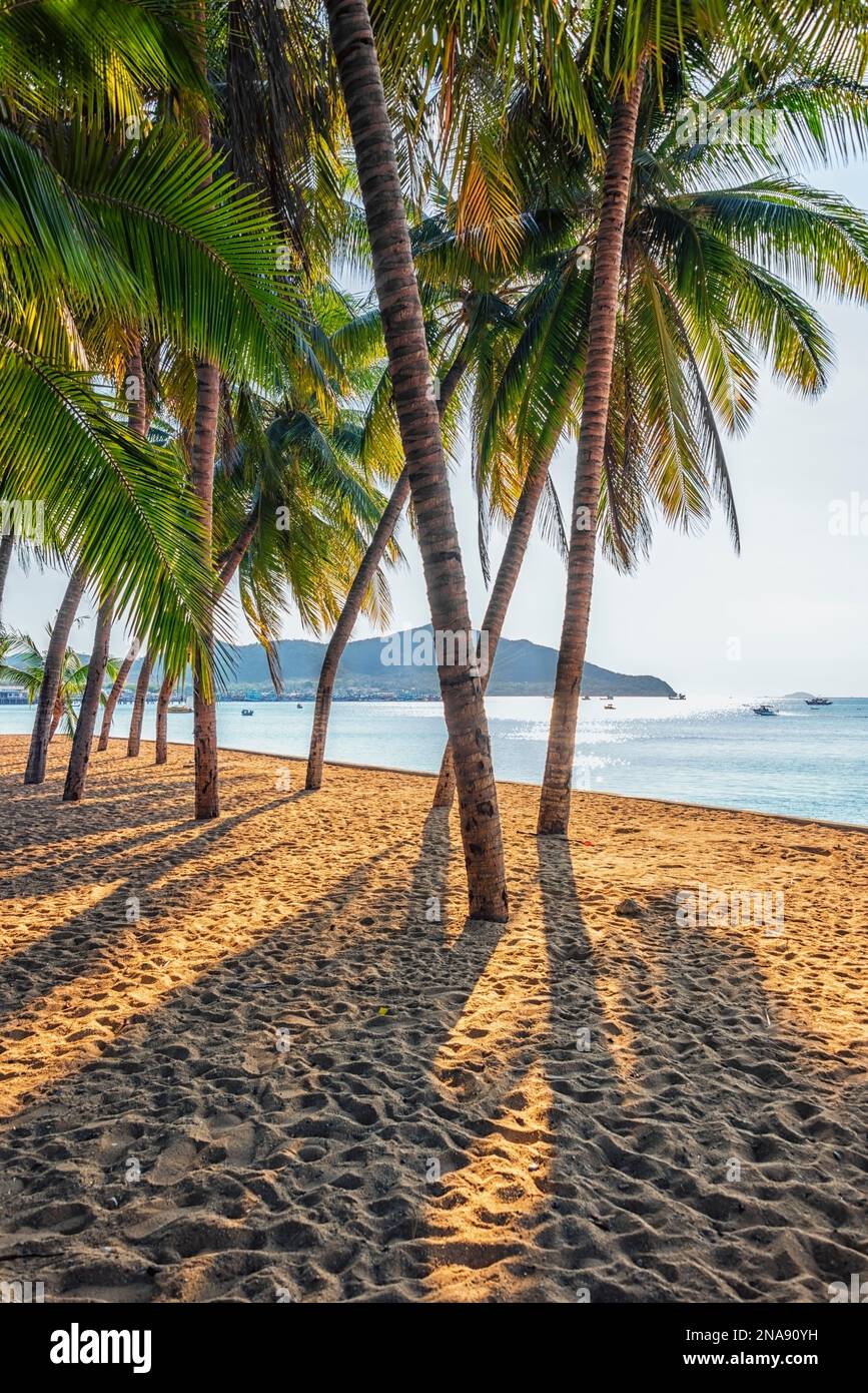 Bang Sare Beach in Thailand Stock Photo