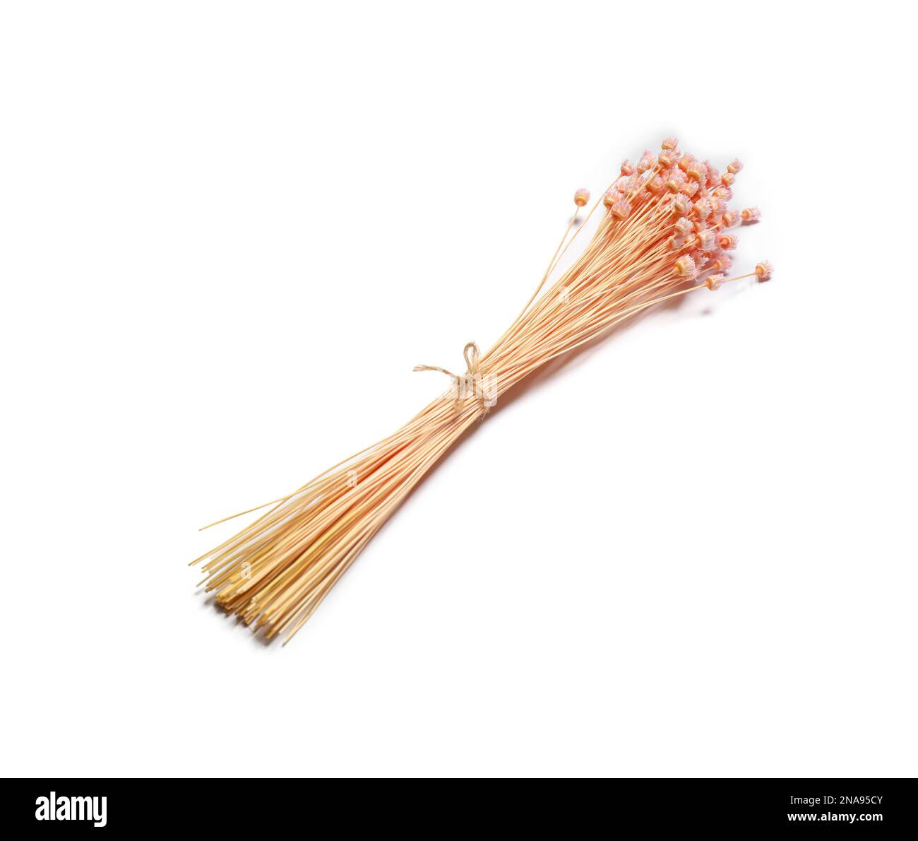 Bunch of beautiful dried flowers on white background Stock Photo - Alamy