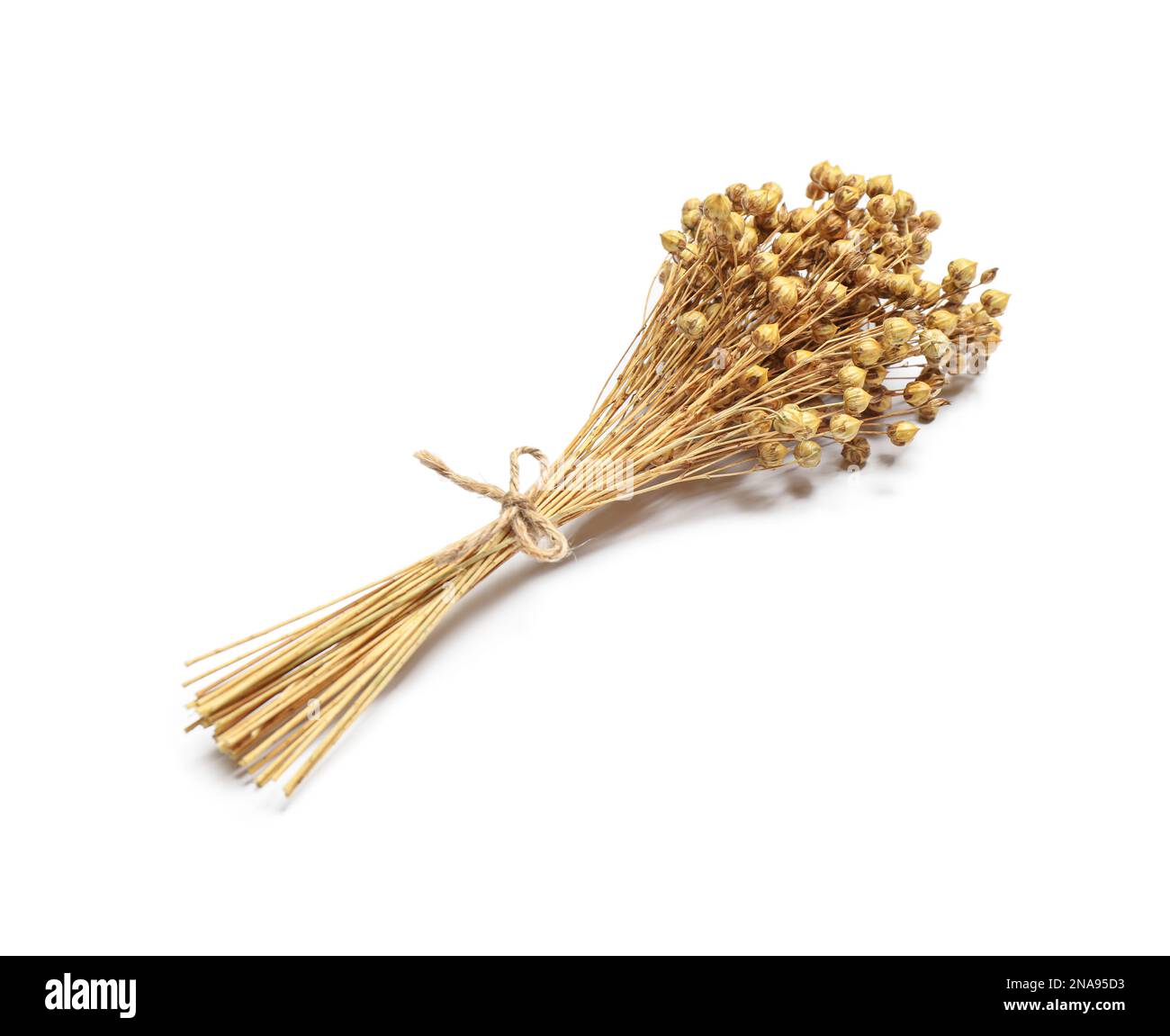 Bunch of beautiful dried flowers on white background Stock Photo - Alamy