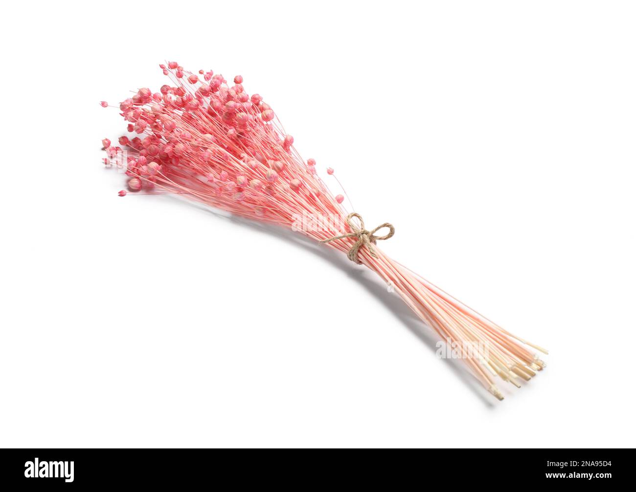 Bunch of beautiful dried flowers on white background Stock Photo - Alamy