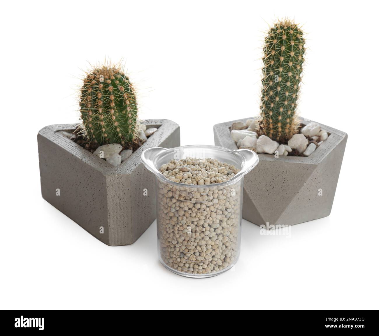 Beautiful house plants and granular fertilizer on white background Stock Photo Alamy