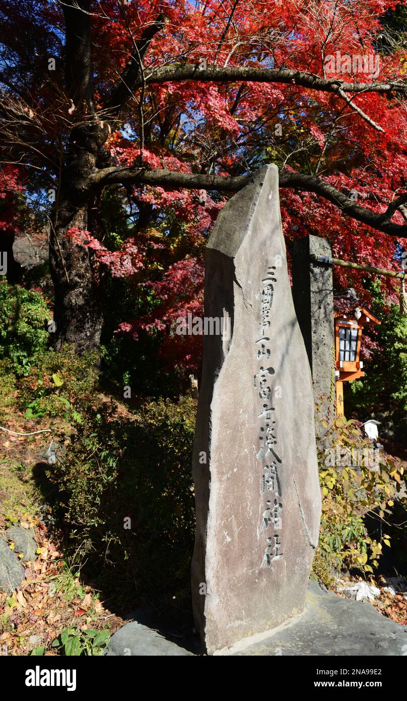 Arakurayama Sengen Park in Yamanashi prefecture, Japan. Stock Photo