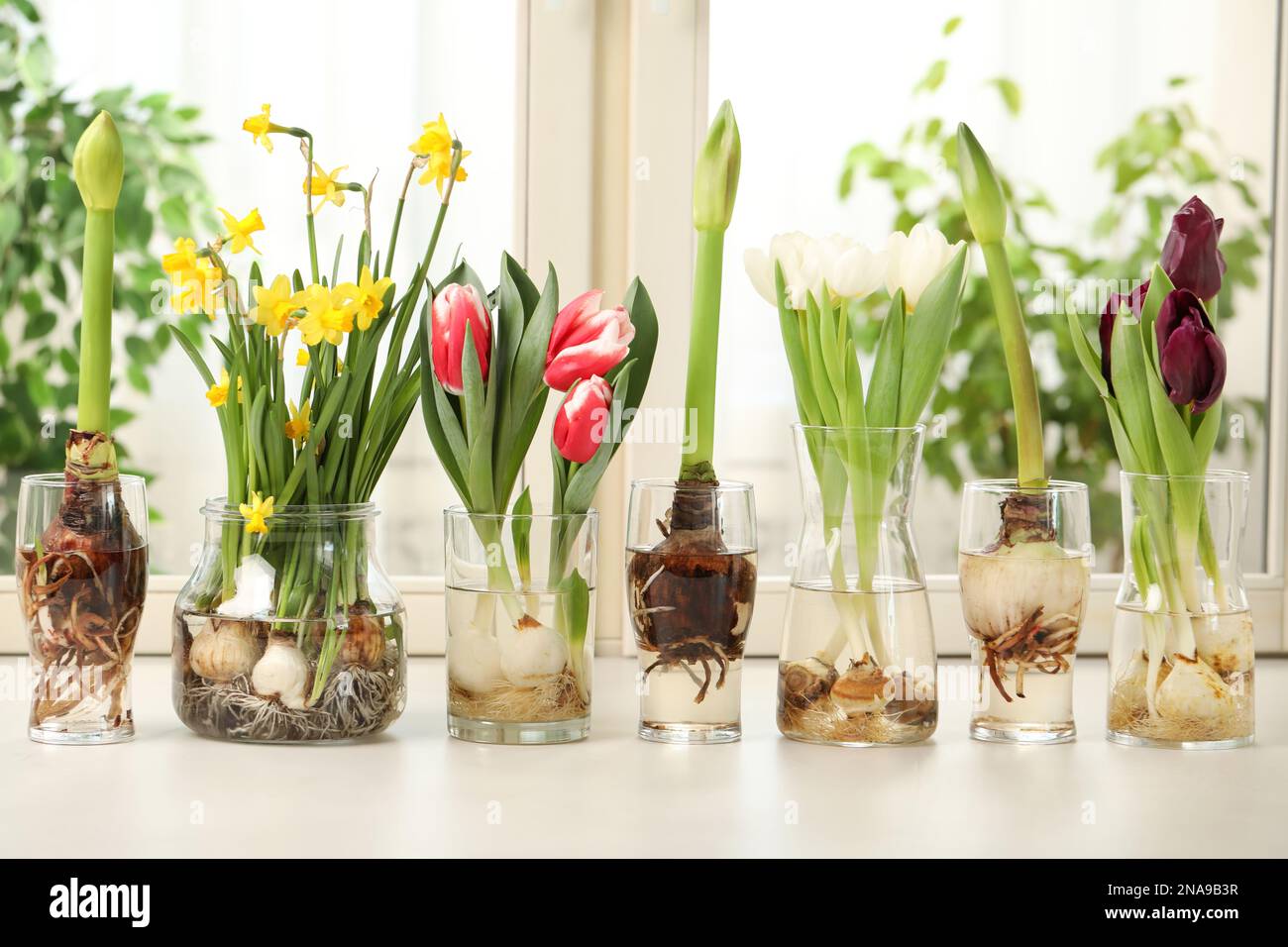 Different beautiful spring flowers in glassware on window sill Stock ...
