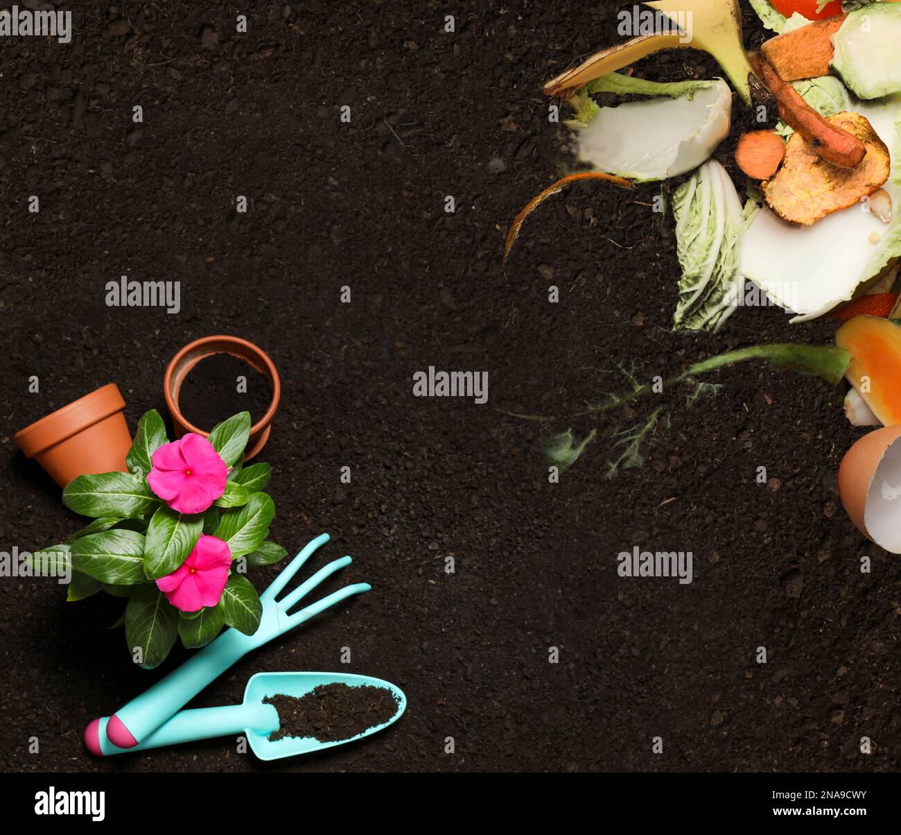 Gardening tools, flower and organic waste for composting on soil, flat