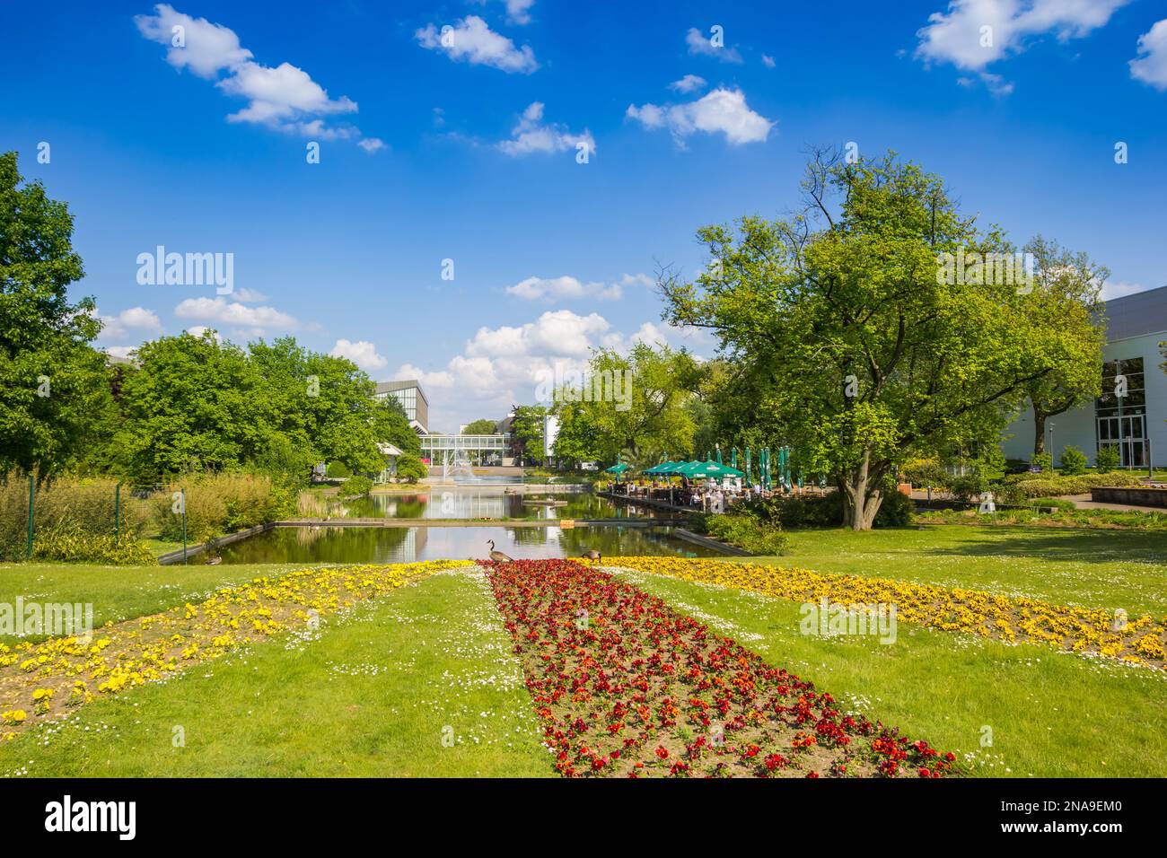 Flowers at the lake of the Gruga park in Essen, Germany Stock Photo
