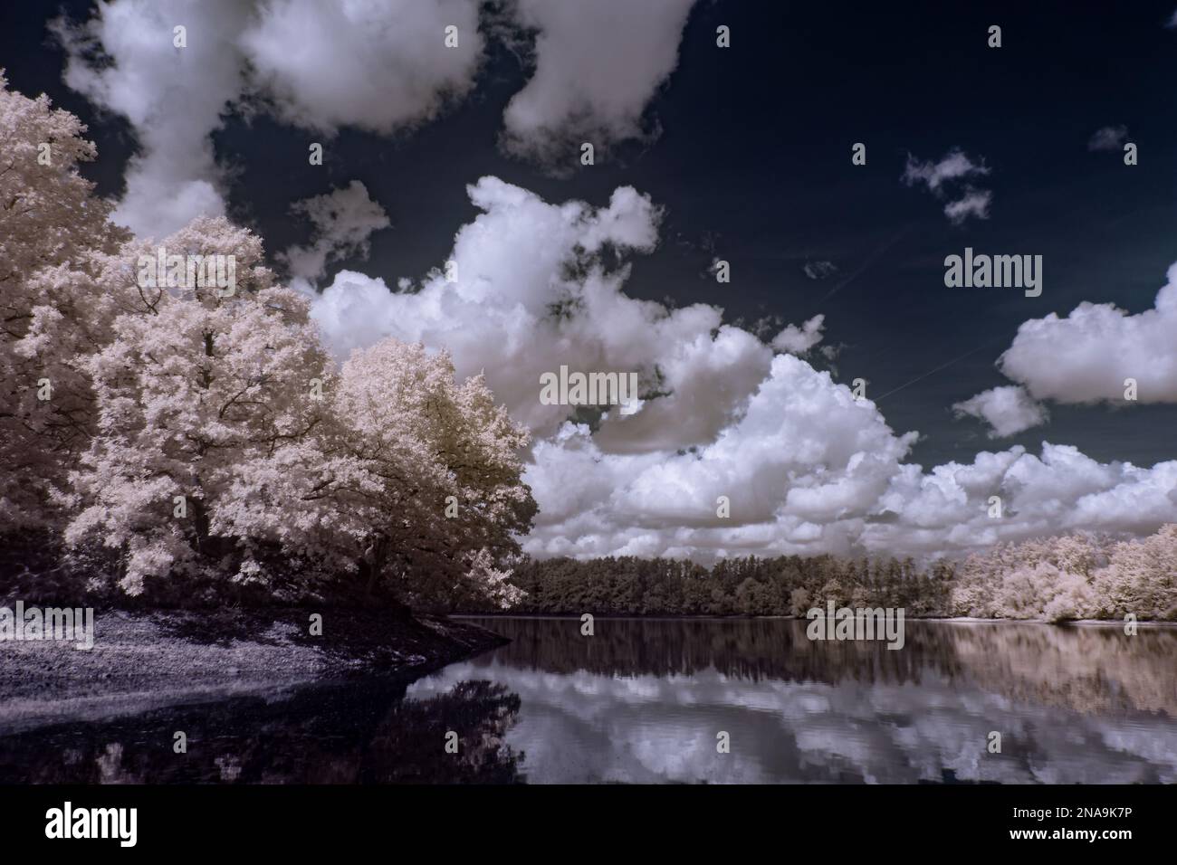 An aerial view of field surrounded by trees Stock Photo - Alamy