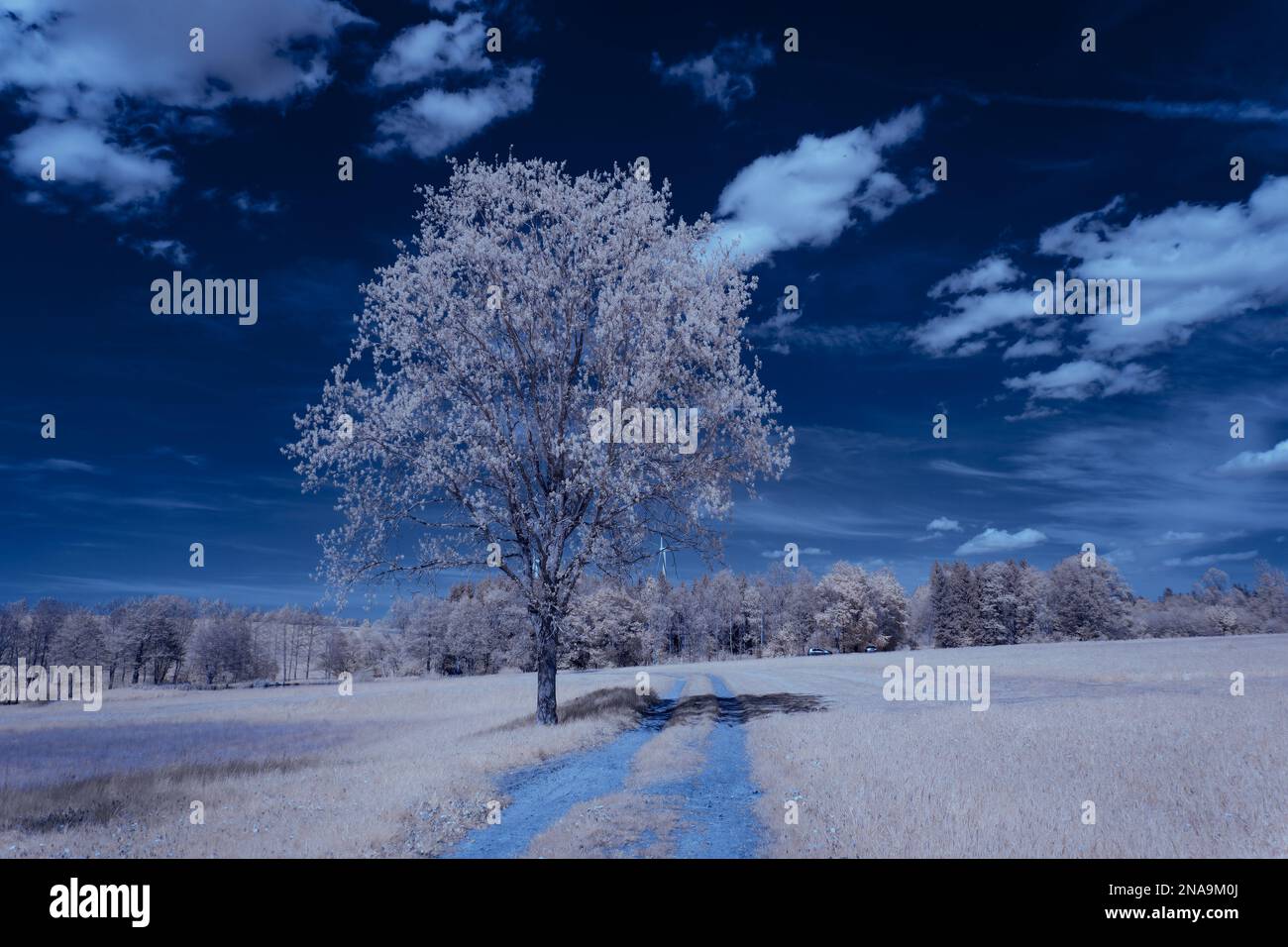 An aerial view of field surrounded by trees Stock Photo - Alamy