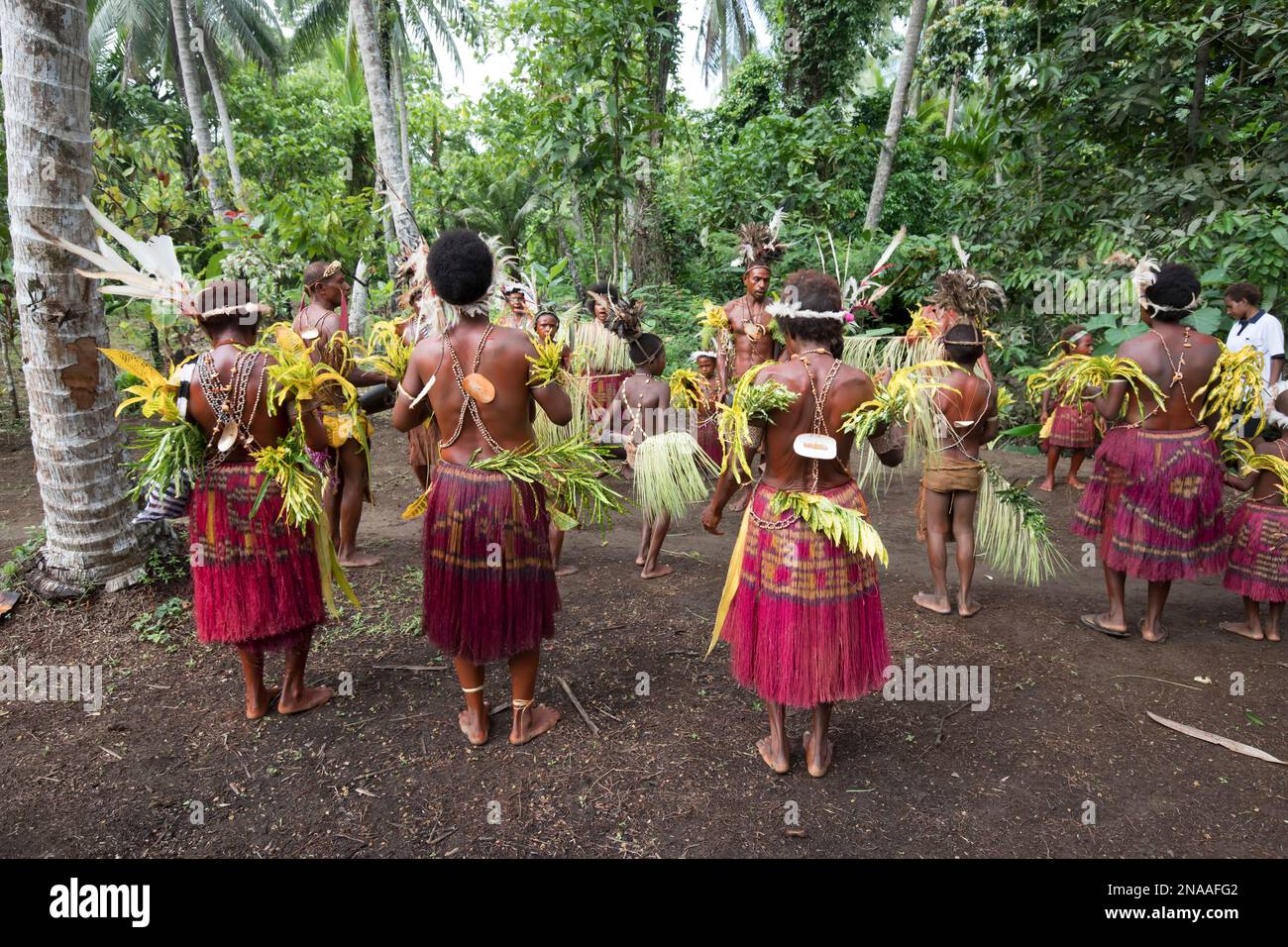 Villagers performing traditional sing sing Melanesian tribal dance in Madang, Papua New Guinea Stock Photo