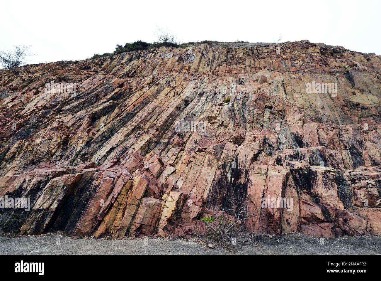 Early Cretaceous rhyolitic columnar rock formation located in the UNESCO Global Geopark in Sai Kung East Country Park in Hong Kong. Stock Photo