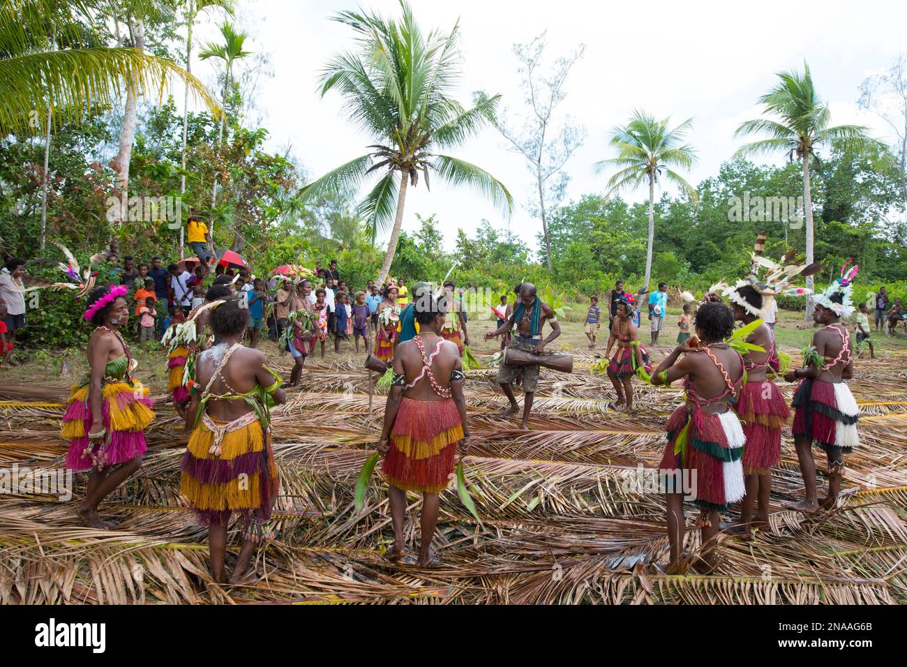 Villagers performing traditional sing sing Melanesian tribal dance in
