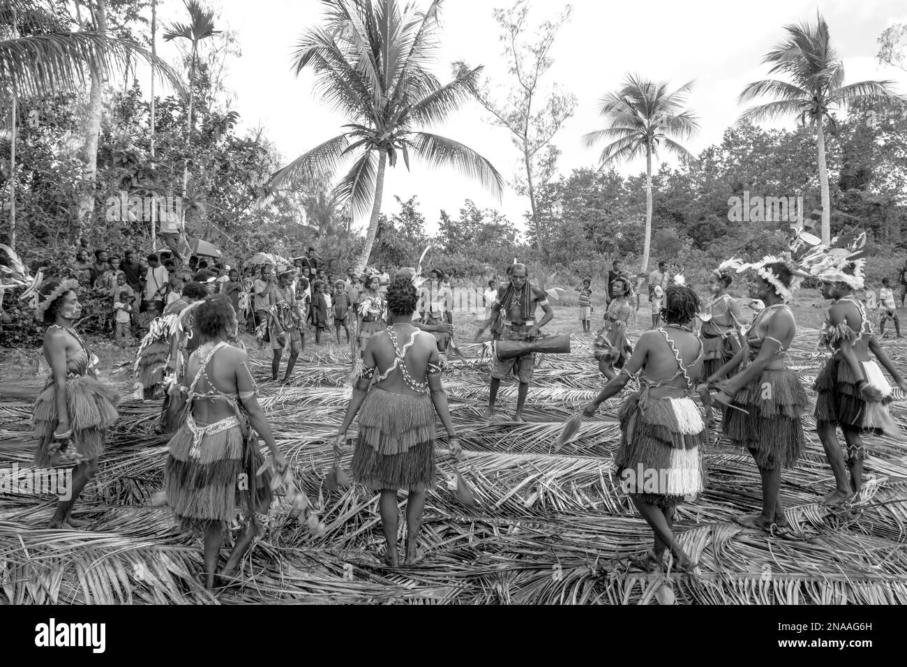 Villagers performing traditional sing sing Melanesian tribal dance in