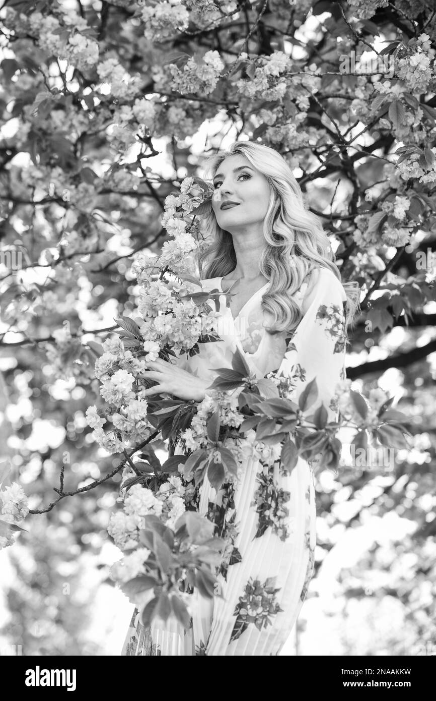 Harmony and female energy. Cherry tree. Good vibes. Floral aroma. Spring blossoming tree. Spring