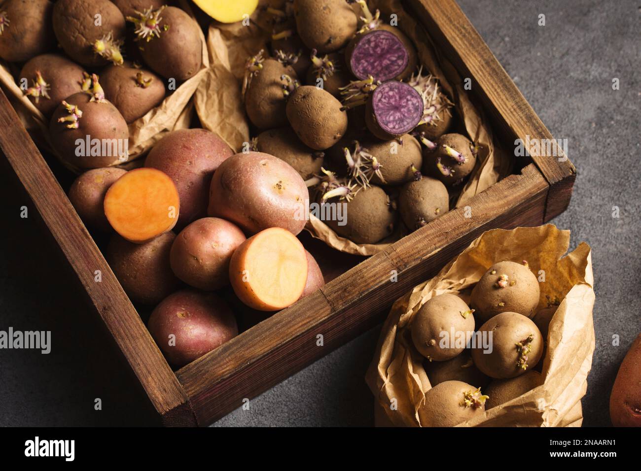 Various varieties of potatoes. Germination of sprouts on potatoes for