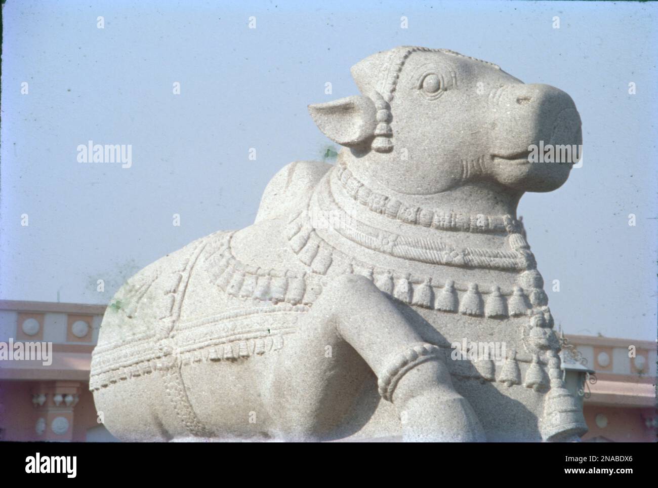 Stone Carved Statue of Nandi, Public Garden, Hydrabad, Andhra Pradesh