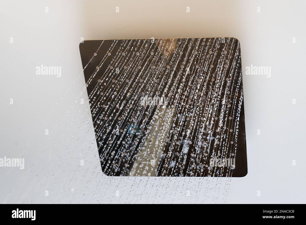 Water flows from the tropical shower. Large water consumption. Chrome