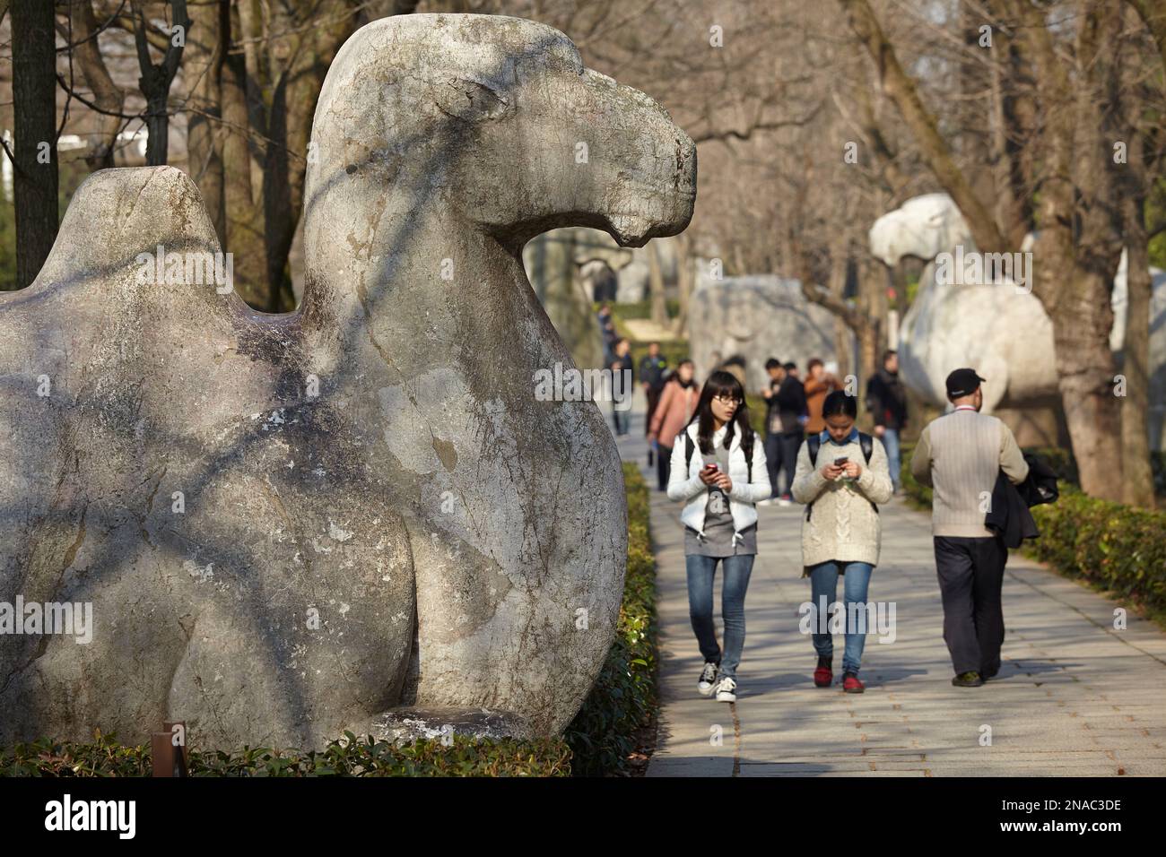 Avenue of sculptures at Mingxiaoling, the tomb of the first Ming dynasty emperor; Nanjing, Jiangsu province, China Stock Photo