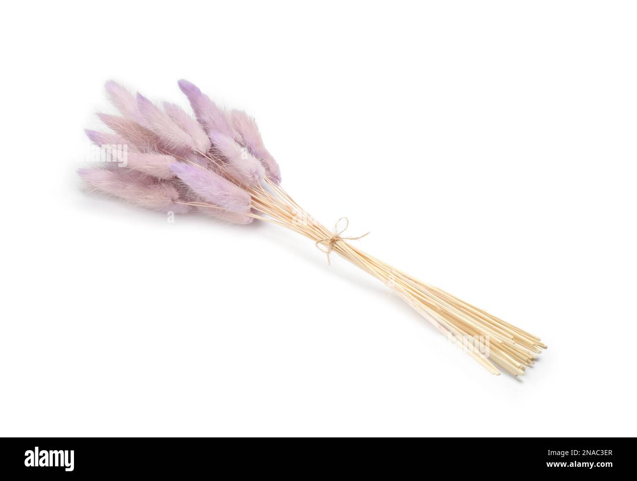 Bunch of beautiful dried flowers on white background Stock Photo - Alamy