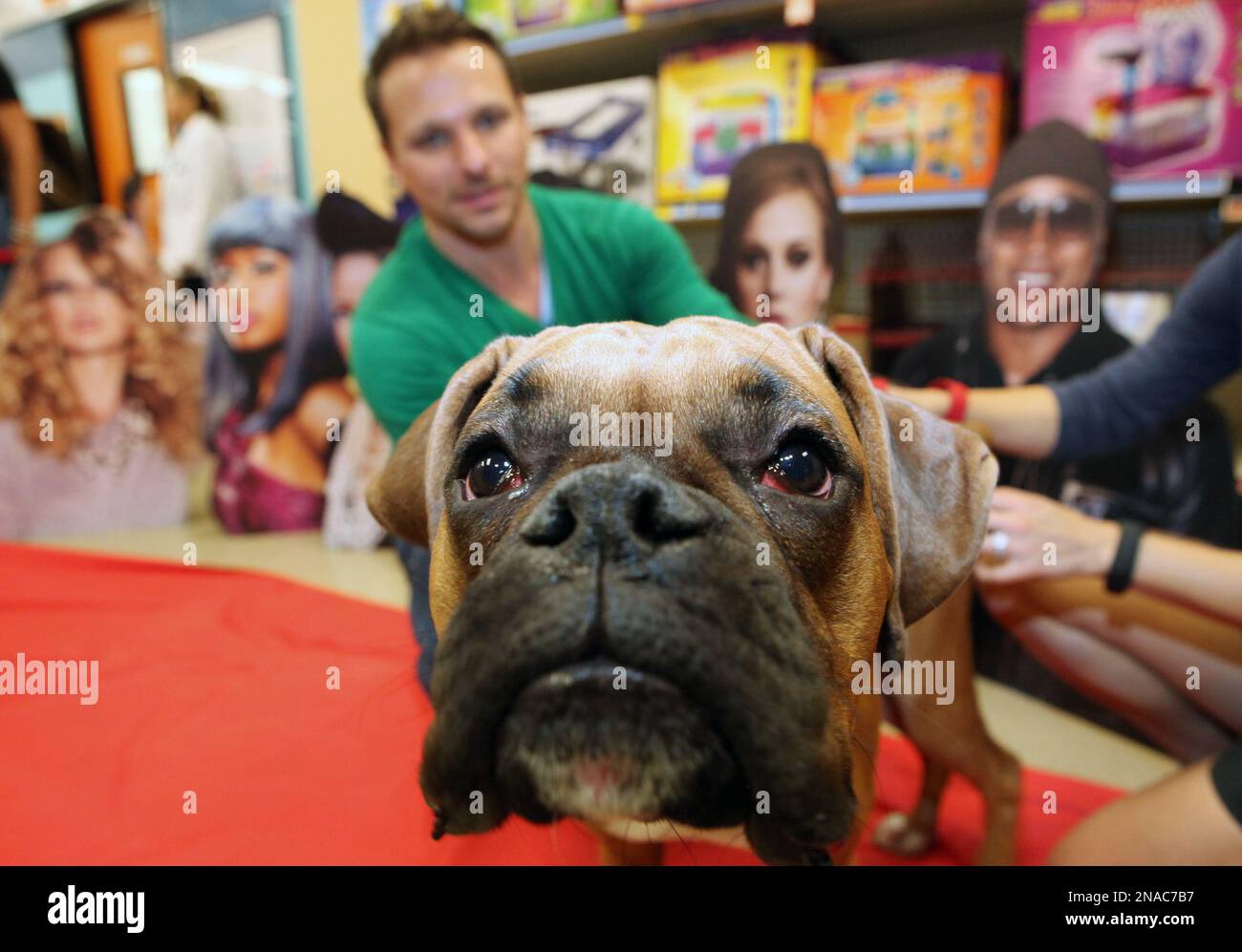 COMMERCIAL IMAGE In this photograph taken by AP Images for Banfield