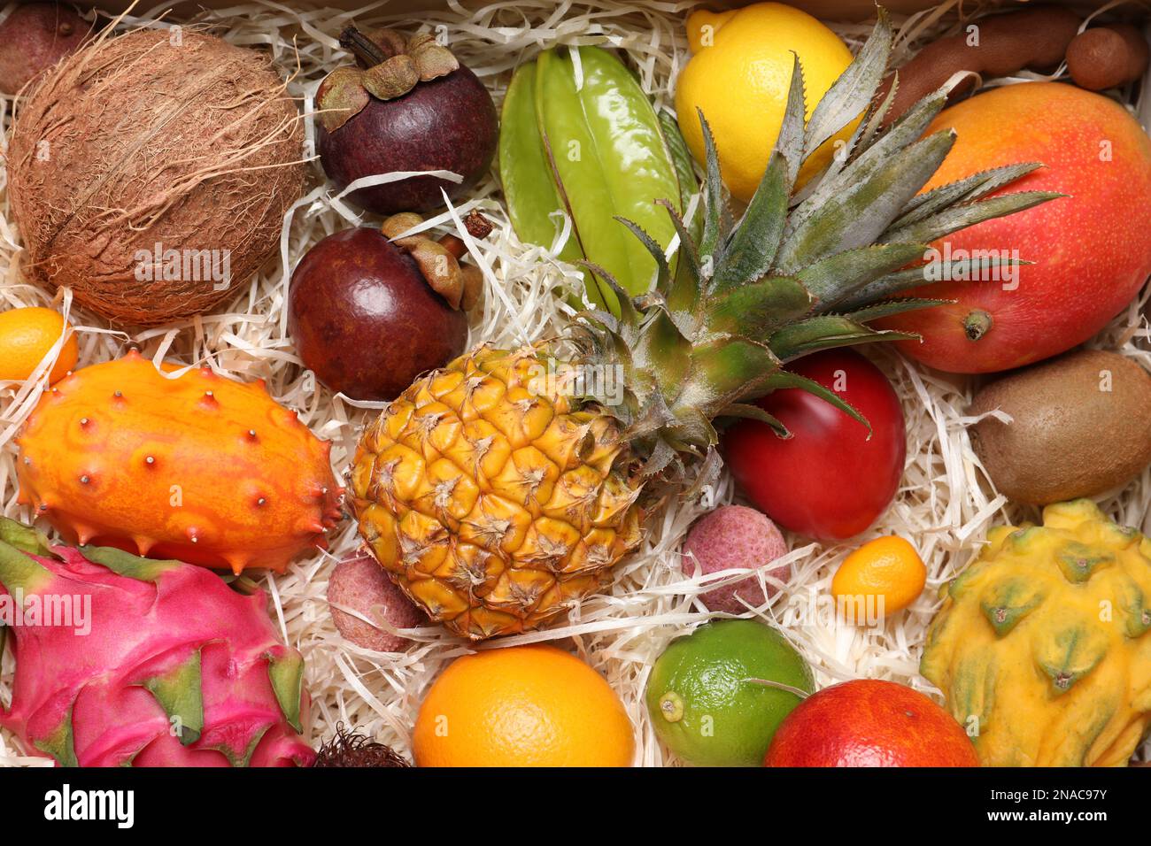 different fits of levi jeans