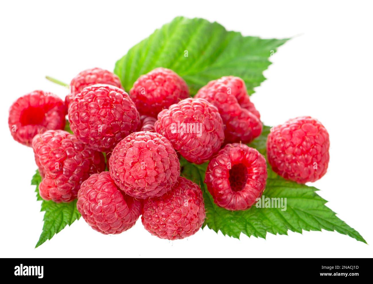 Ripe raspberry with green leaf on white Stock Photo
