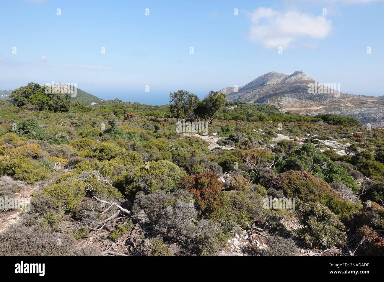 Views over the mountains on Ikaria from the Randi forest, one of the oldest remaining Holm Oak forests in the Mediterranean Stock Photo