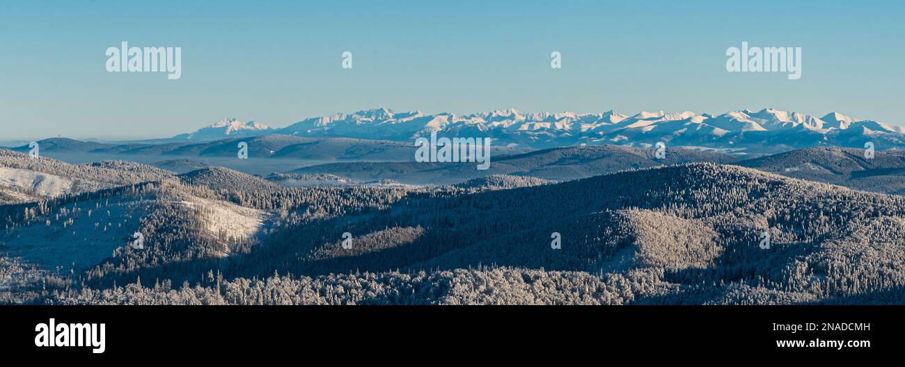 Nearer hills of Beskids mountains, part of Oravska Magura mountains and Tatra mountains from Velka Raca hill in winter Kysucke Beskydy mountains Stock Photo