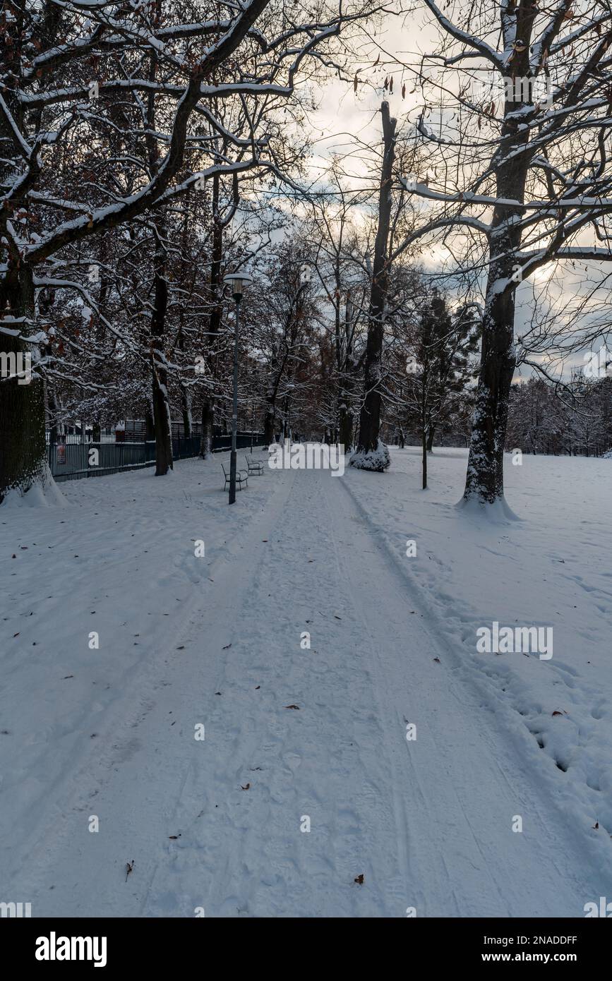 Snow covered footpath with trees around in winter public park - Park ...