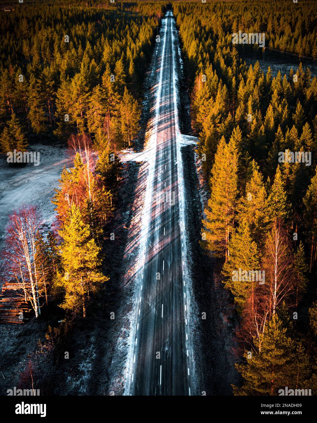 An aerial view of road surrounded by dense trees Stock Photo - Alamy