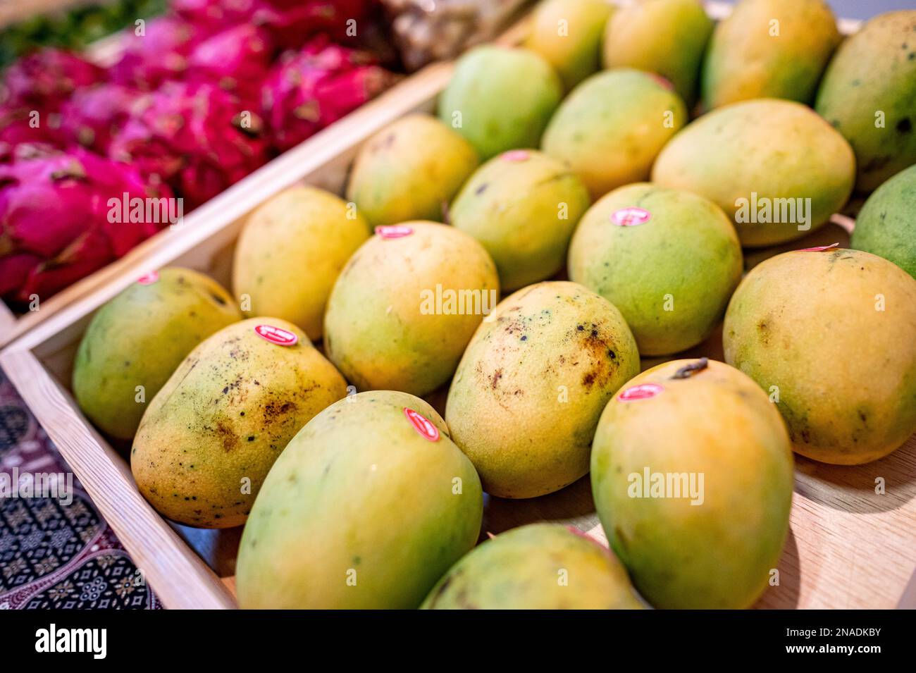 Berlin, Germany. 08th Feb, 2023. Mango are exhibited at Fruit Logistica.  Fruit Logistica is an International Trade Fair for Fruit and Vegetable  Marketing. Credit: Fabian Sommer/dpa/Alamy Live News Stock Photo - Alamy