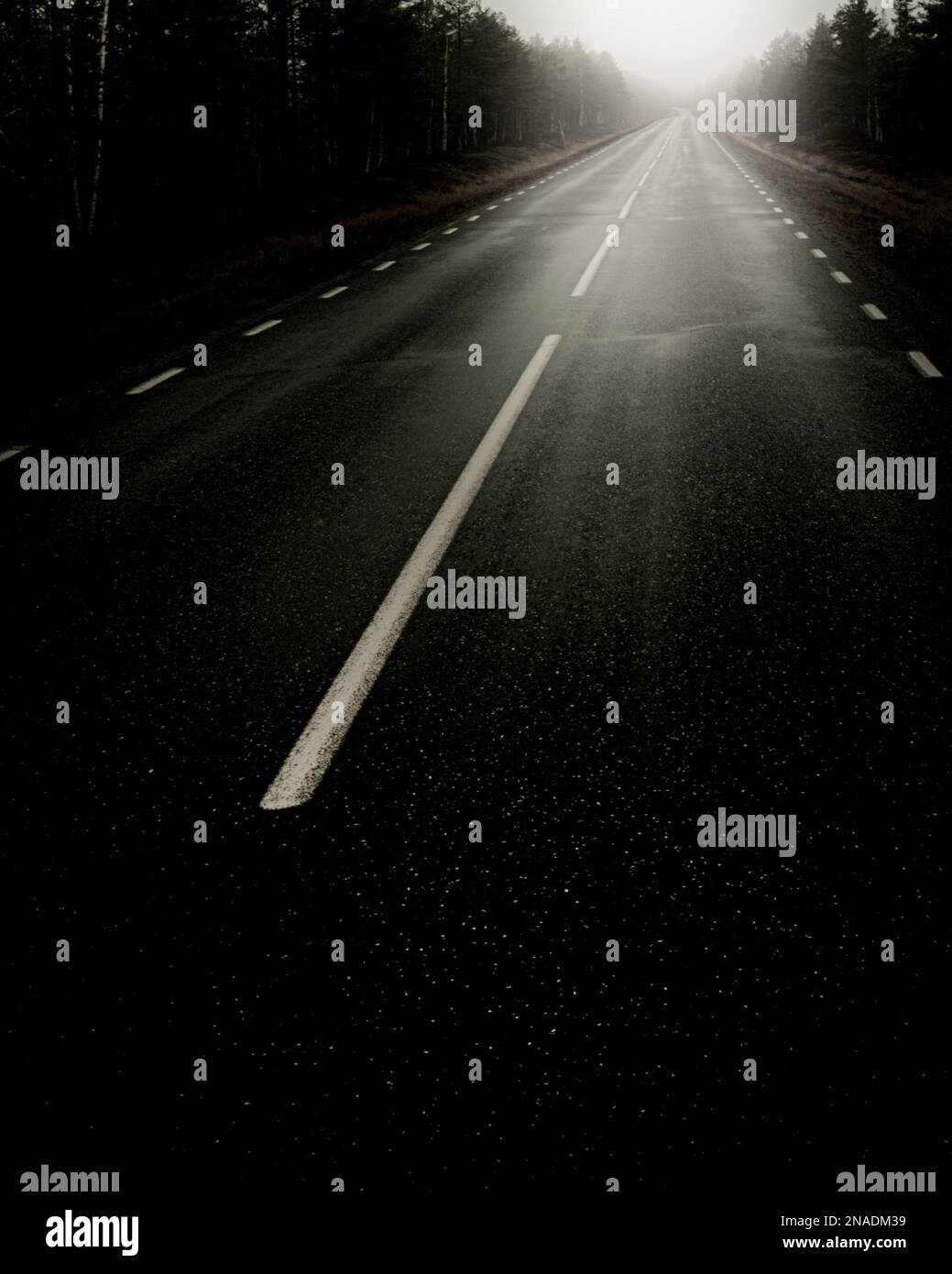 An aerial view of road surrounded by dense trees Stock Photo - Alamy