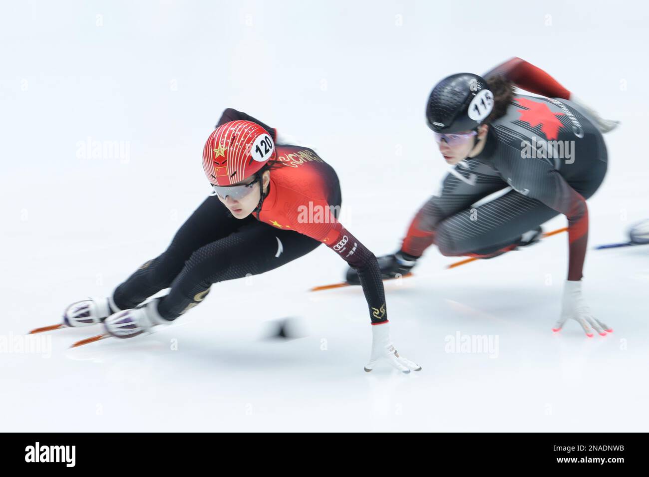 Dordrecht, Netherlands. 12th Feb, 2023. Wang Xinran (L) of China competes during the final of women's 3000m Relay at the ISU World Cup Short Track Speed Skating series in Dordrecht, the Netherlands, Feb. 12, 2023. Credit: Zheng Huansong/Xinhua/Alamy Live News Stock Photo