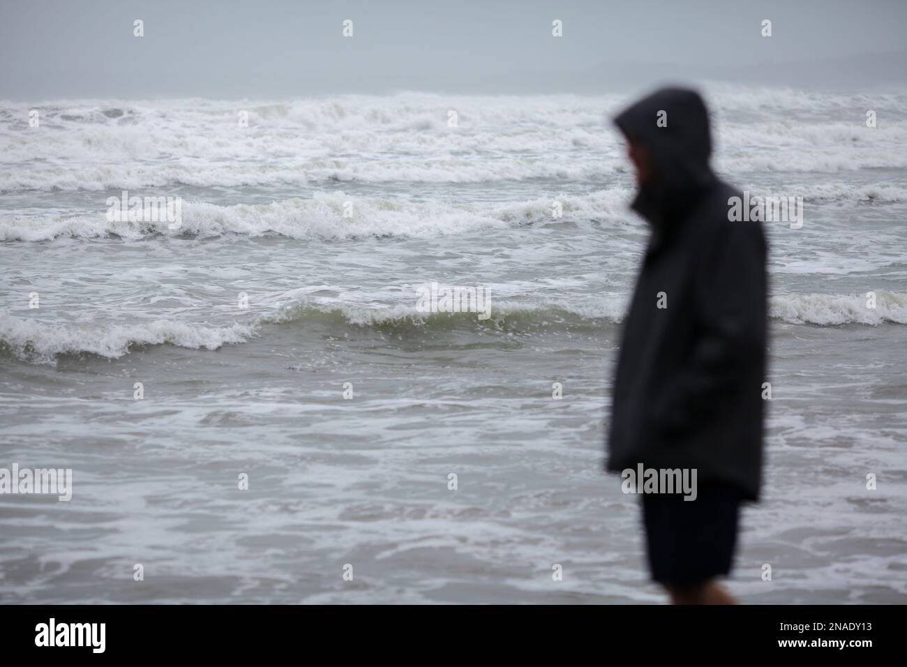 Auckland New Zealand 13th Feb 2023 A Man Watches Tides In Auckland auckland-new-zealand-13th-feb-2023-a-man-watches-tides-in-auckland